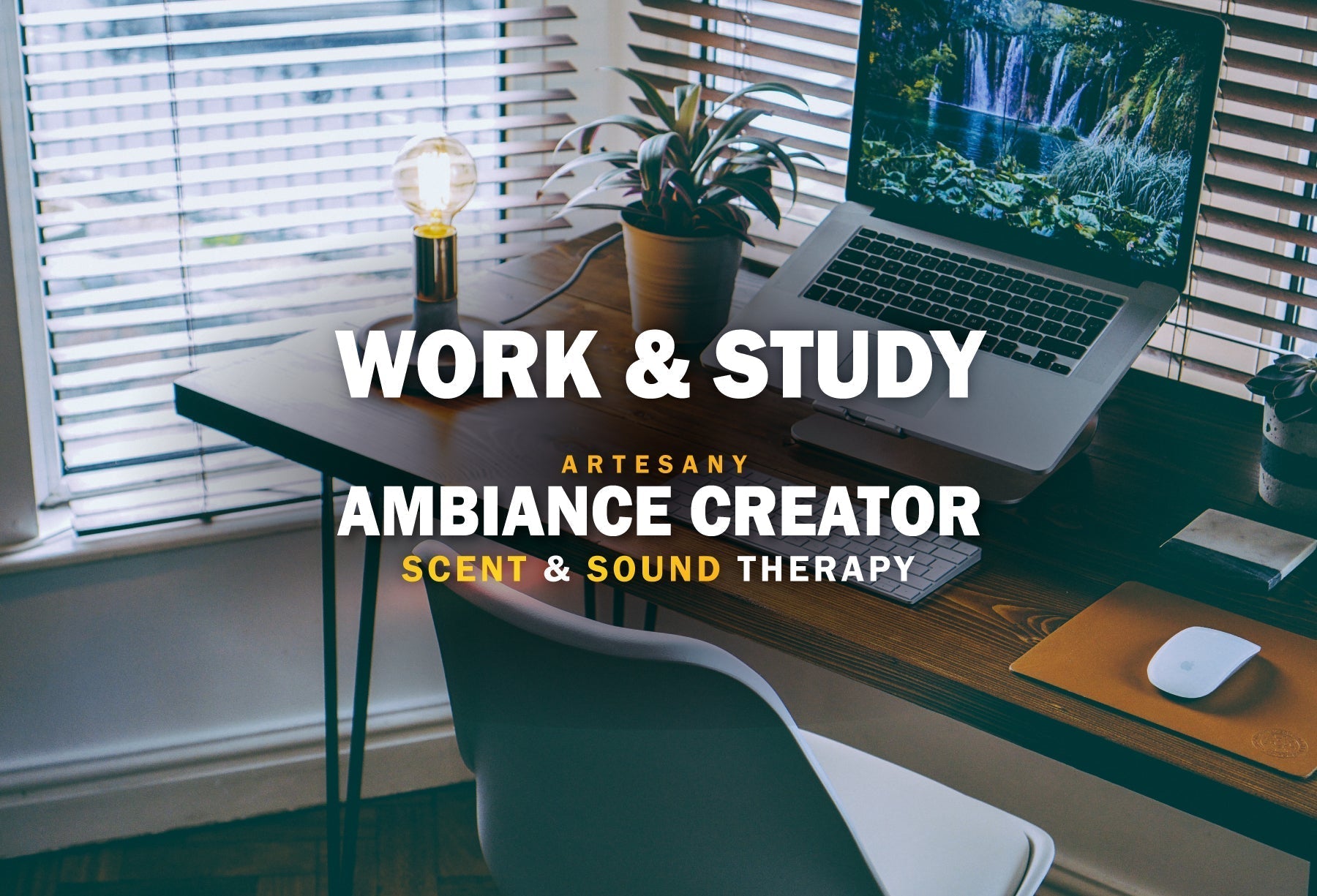 WORK & STUDY