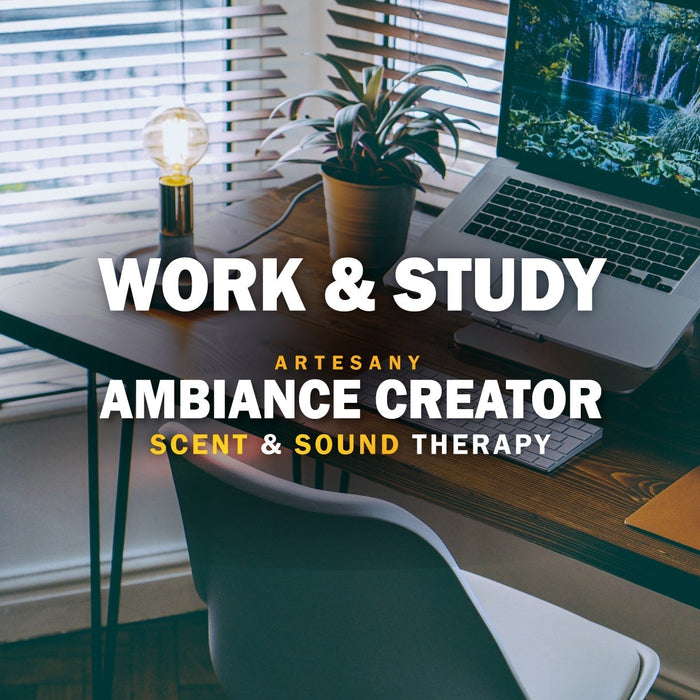 WORK & STUDY
