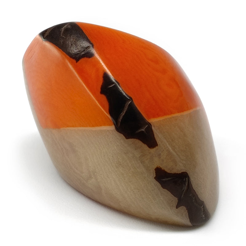 ANILLO GÉNESIS CURVO - Hecho a mano - Tagua (marfil vegetal)