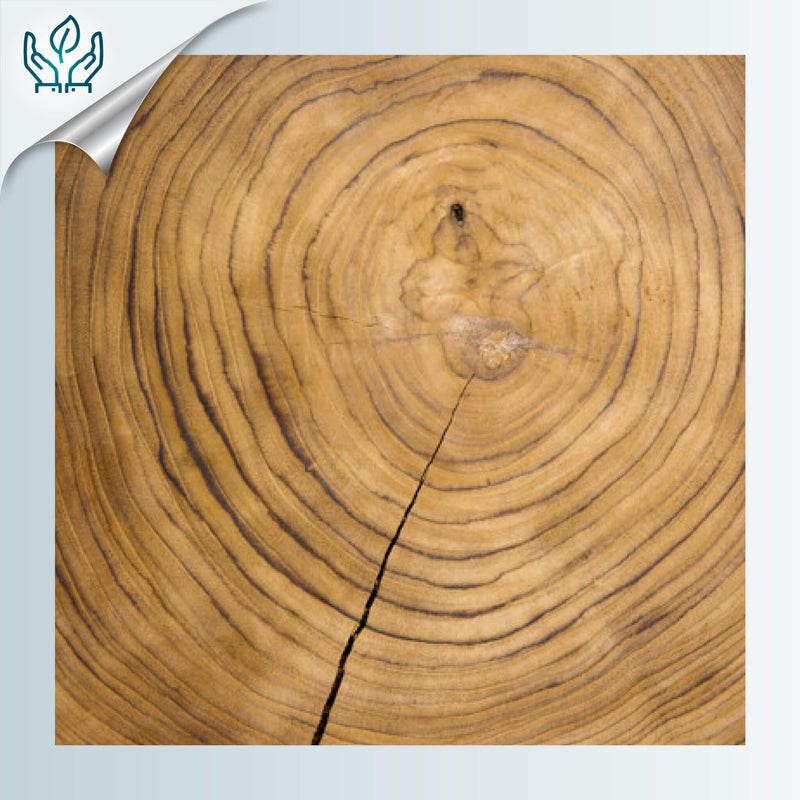 PENDIENTES WOODIE SOL - Hechos a mano - Madera contrachapada de 3 capas cruzadas
