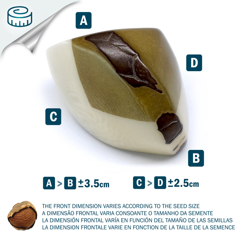 ANILLO GÉNESIS CURVO - Hecho a mano - Tagua (marfil vegetal)