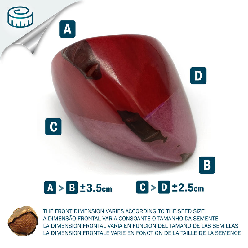 ANILLO GÉNESIS CURVO - Hecho a mano - Tagua (marfil vegetal)