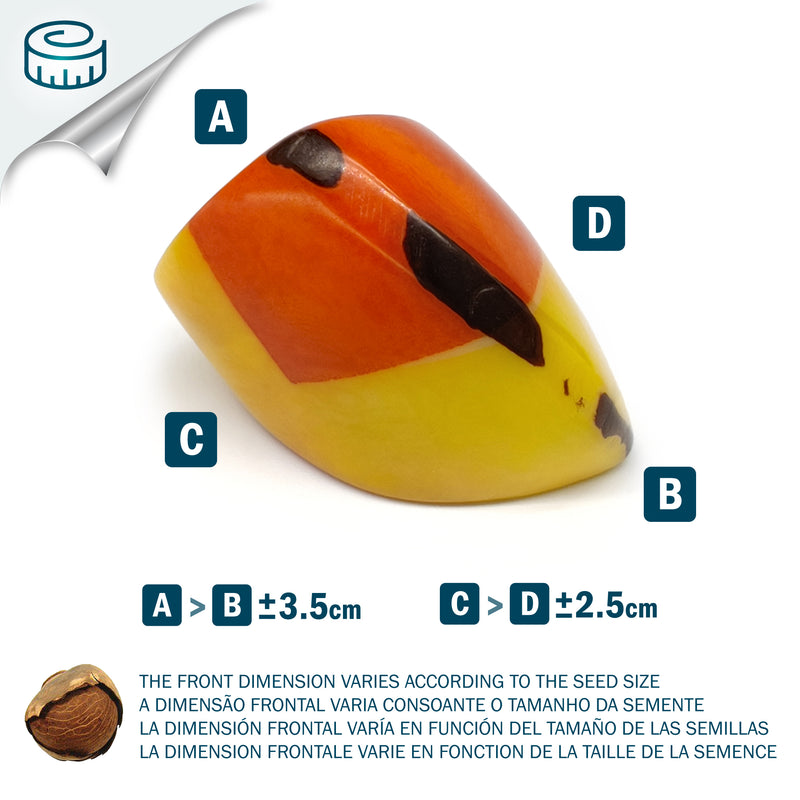 ANILLO GÉNESIS CURVO - Hecho a mano - Tagua (marfil vegetal)