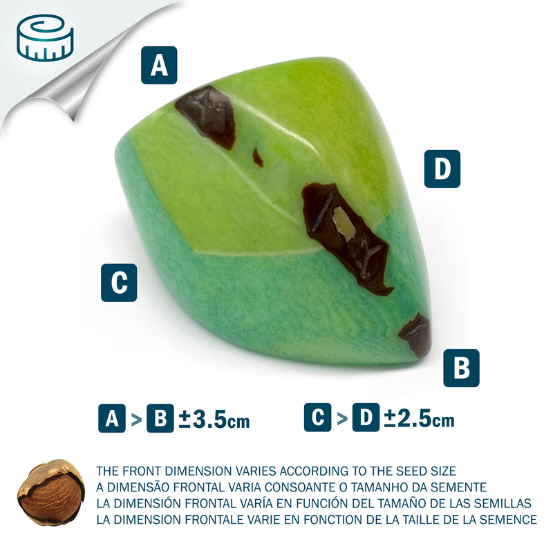 ANILLO GÉNESIS CURVO - Hecho a mano - Tagua (marfil vegetal)