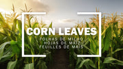 RECYCLED -  Corn leaves