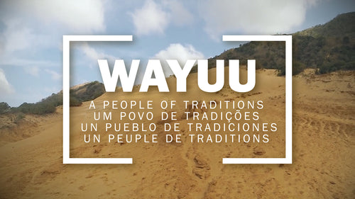 Wayuu bags